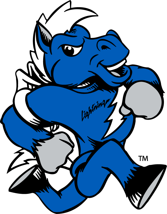 Middle Tennessee Blue Raiders 2015-Pres Mascot Logo iron on transfers for T-shirts